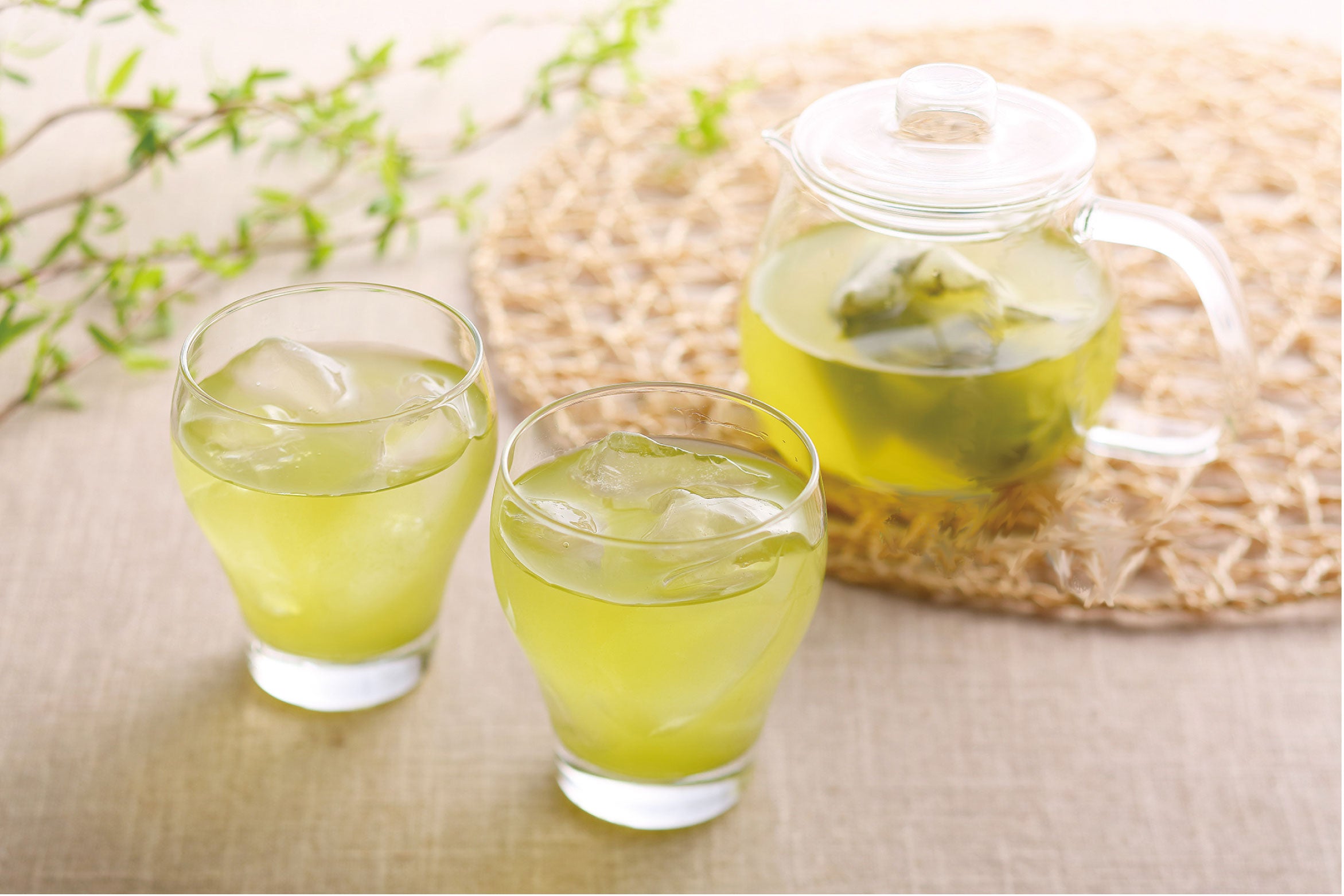 Summer is in the air! 7 teas you should bring on your next trip
