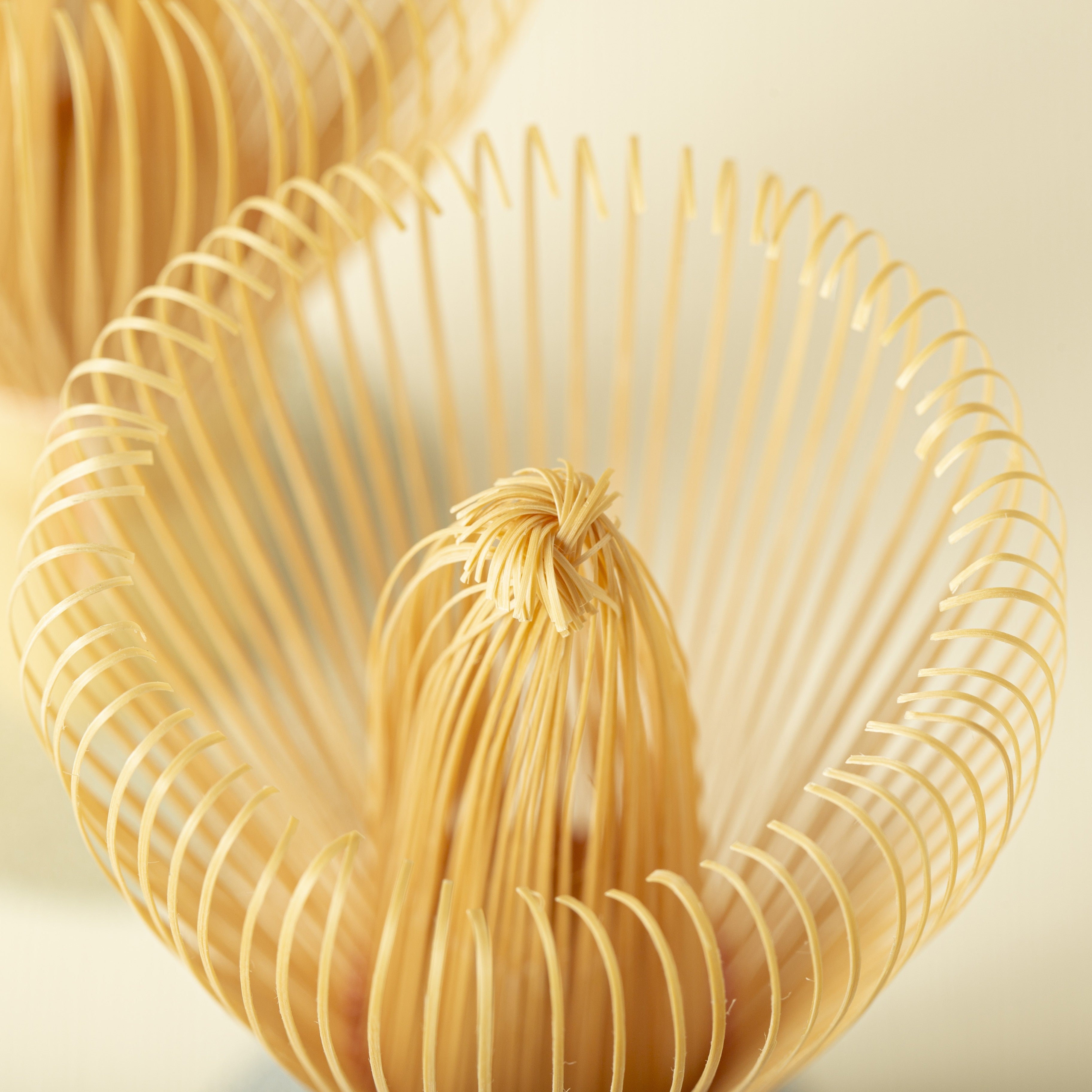 Close up on bamboo whish - chasen