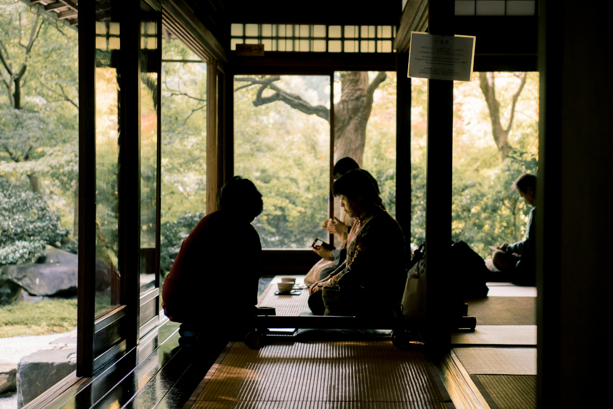 Why Fermentation Matters: Discovering Every Kind of Tea