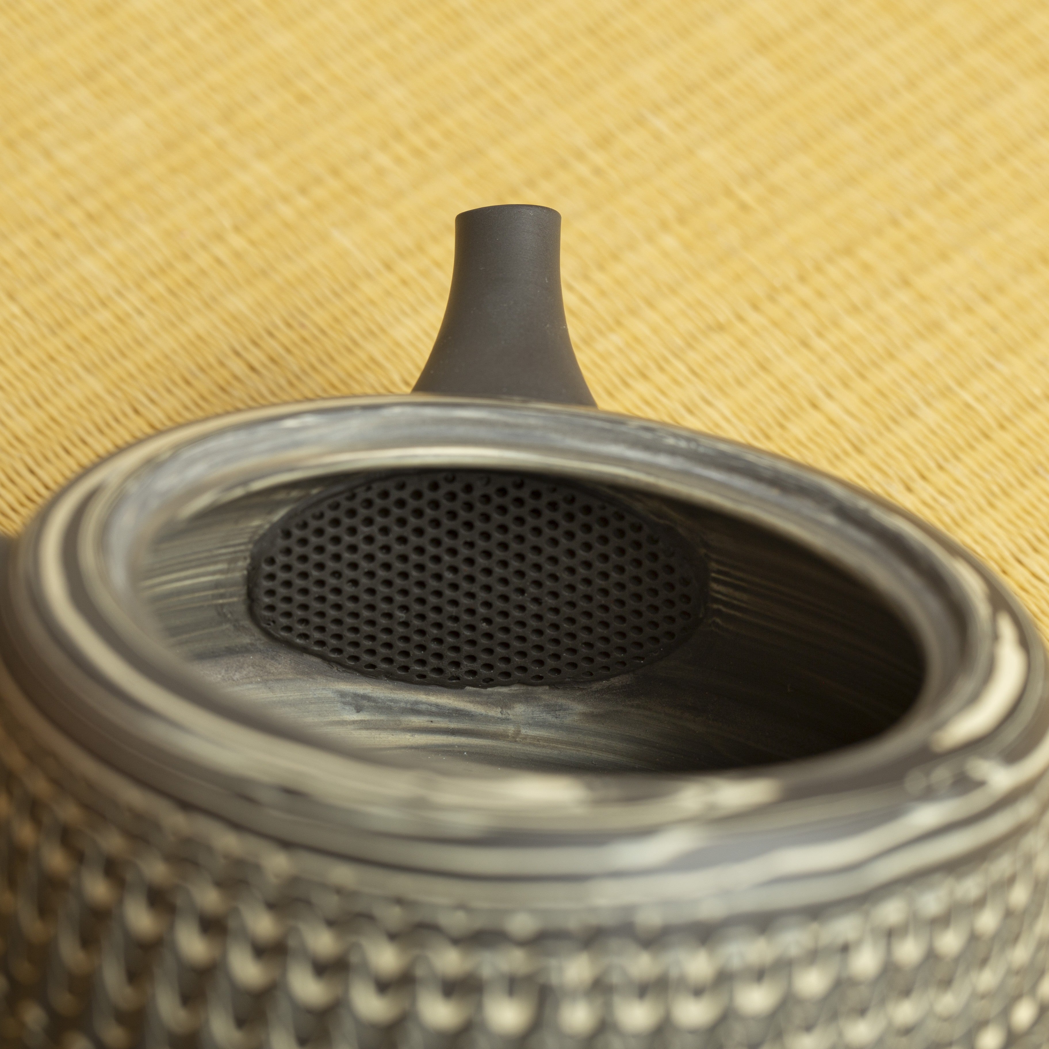 Handmade Tokoname Kyusu Teapot by Tôsen - 250ml