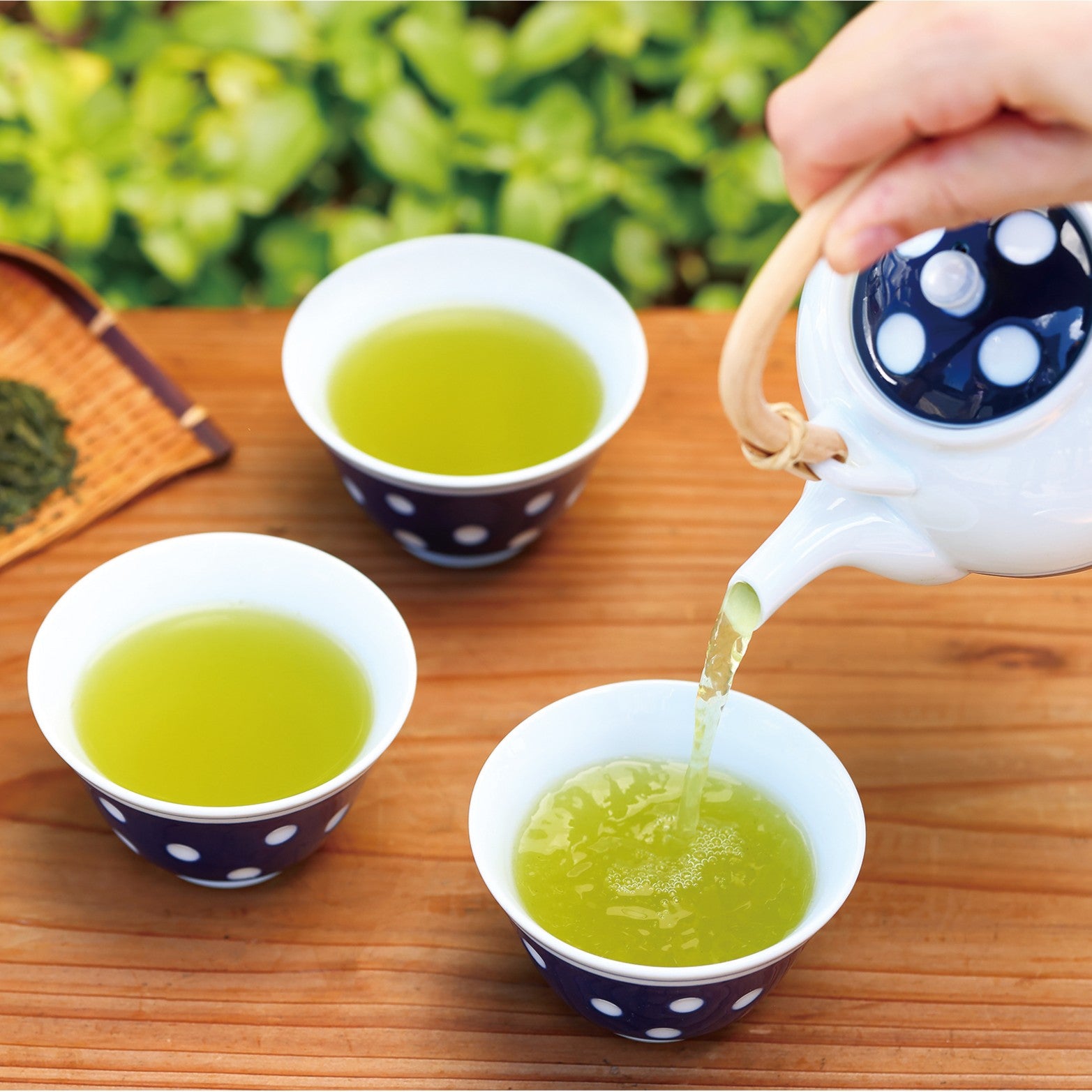 Tea being poured from a polka dot teapot into three cups on a wooden surface with greenery in the background.