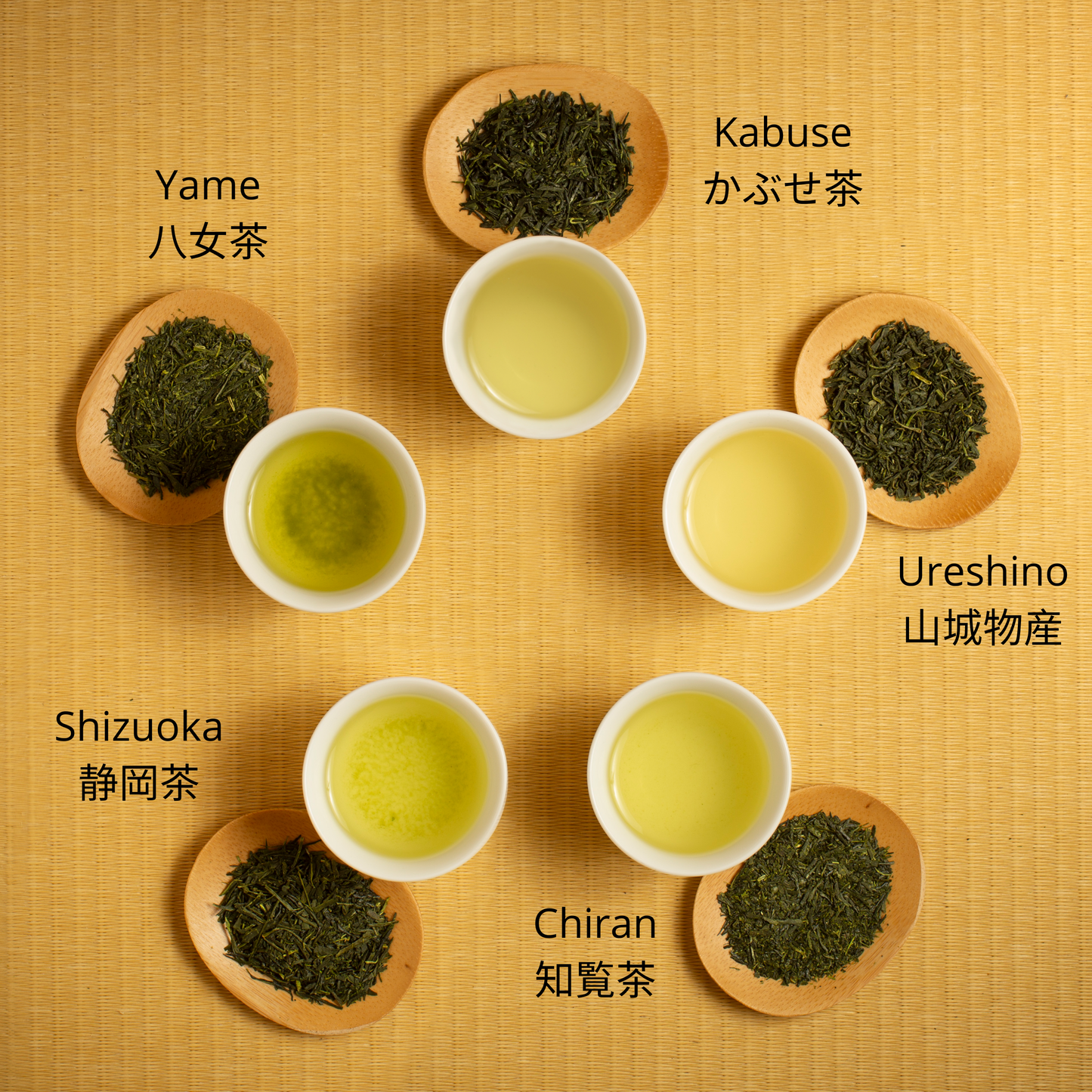 Yame, Kabuse, Ureshino, Chiran, Shizuoka sencha with tea cuo and tea leaves