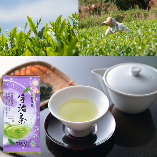 Kyoto Uji Sencha (Japanese green tea) - 100g tea leaves